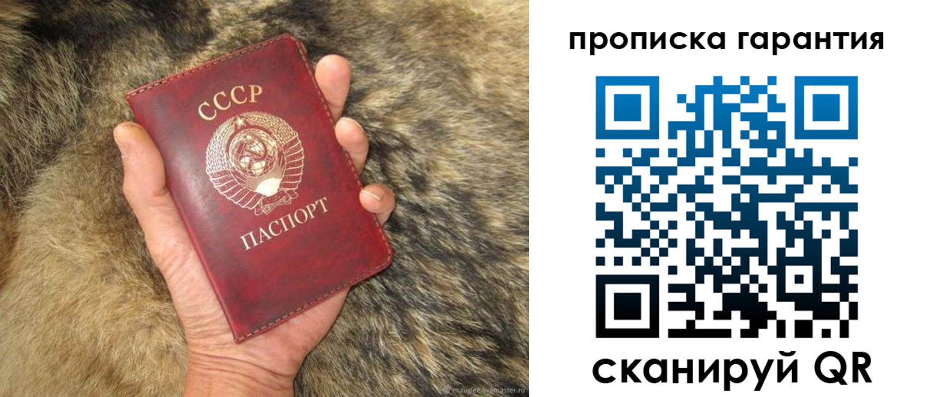 прописка паспорт в Благодарном
